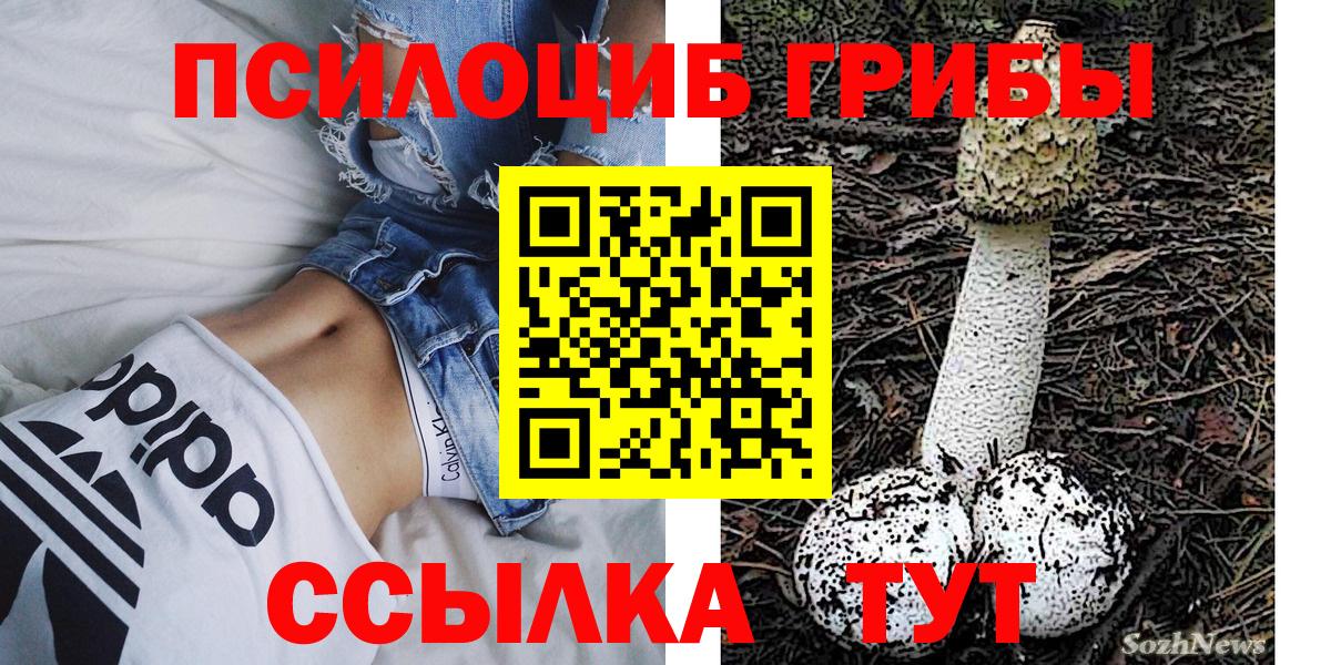 Алапаевск  Галлюциногенные грибы мицелий  Вход с VPN 